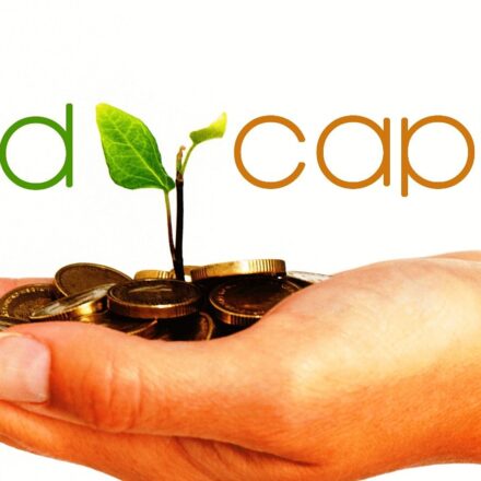 Seed-Capital-1