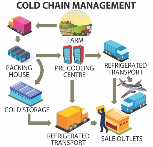 cold-chain-1